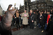 Nilpferd auf dem Marienplatz (©Foto: Ingrid Grossmann)